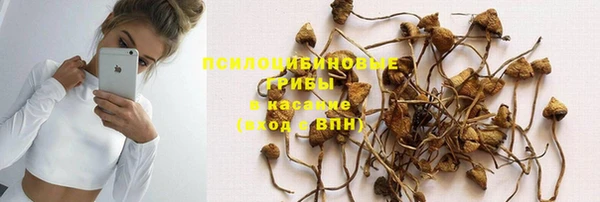 мяу мяу мука Аркадак