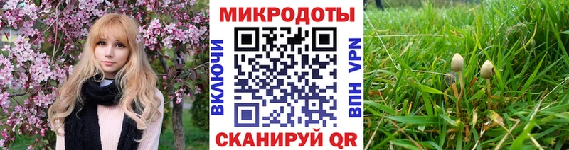 Галлюциногенные грибы прущие грибы Можга