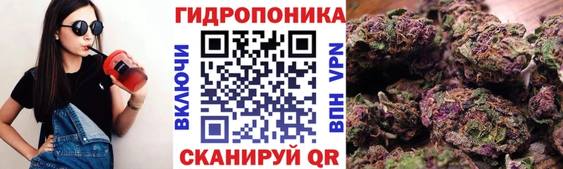 где можно купить   Можга  Шишки марихуана планчик 